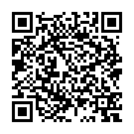 QR code for IQ96338