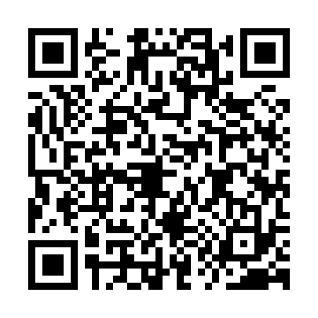 QR code for IQ98333