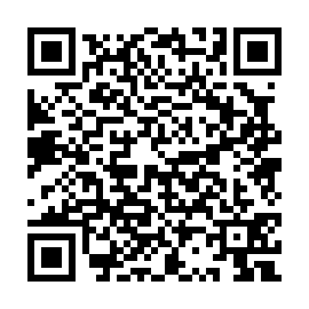 QR code for IR00312