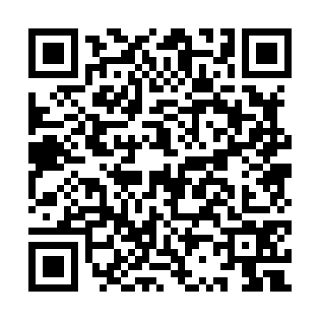 QR code for IR08743