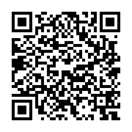 QR code for IR10585