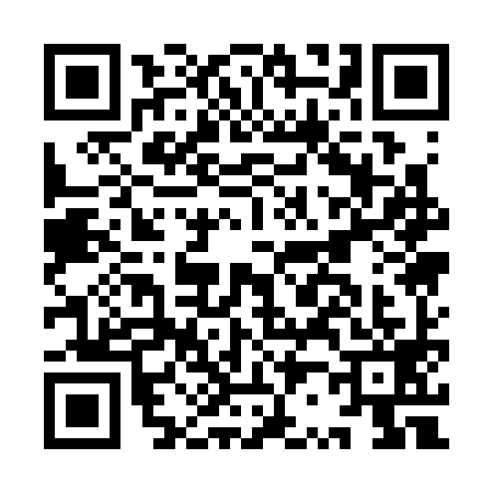 QR code for IR13991
