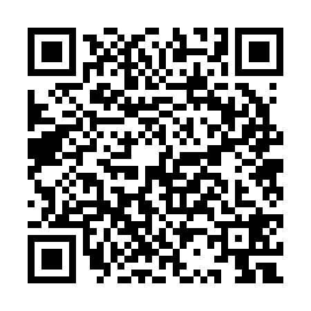 QR code for IR22286