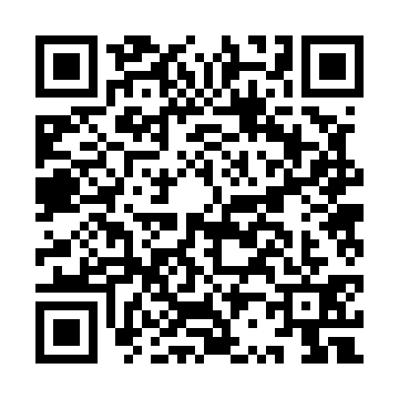 QR code for IR25312
