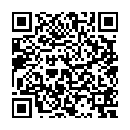 QR code for IR30083