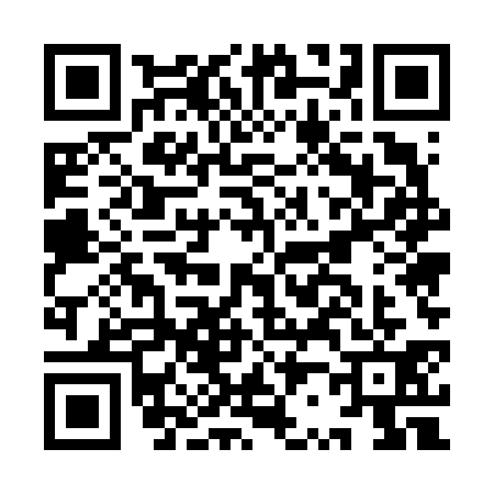QR code for IR56313