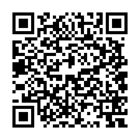 QR code for IR64699