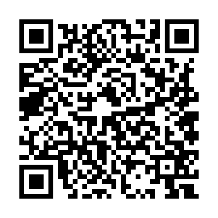 QR code for IR69661