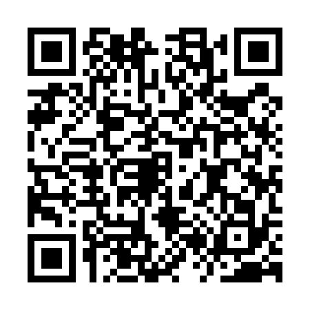 QR code for IR95325