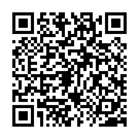 QR code for IT20293