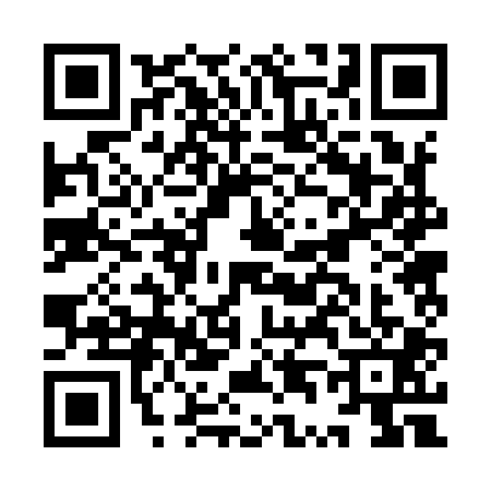 QR code for IT29013