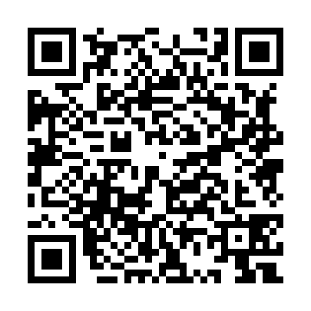 QR code for IV08381
