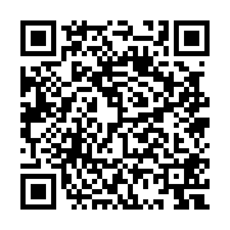 QR code for IV10088