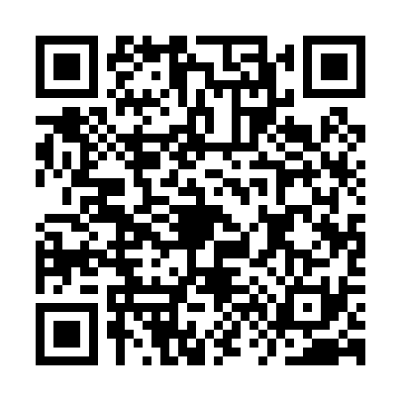 QR code for IV10318