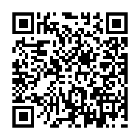 QR code for IV13471