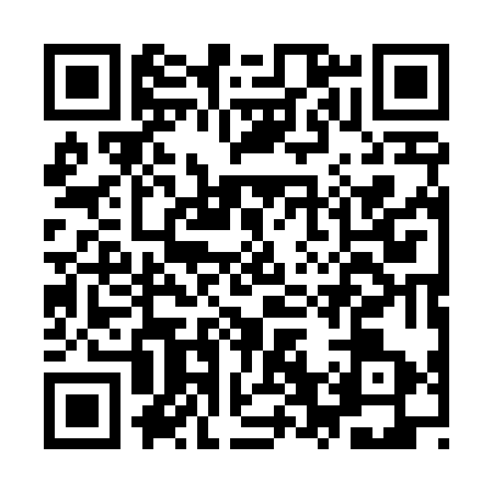 QR code for IV14731