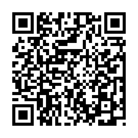 QR code for IV28691