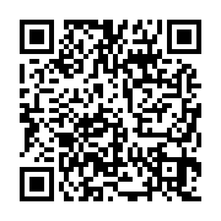 QR code for IV29318
