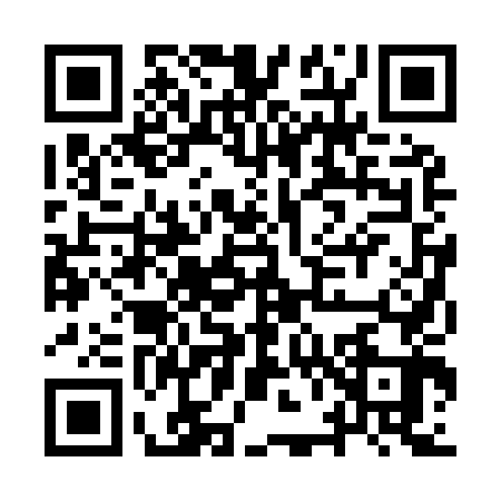 QR code for IV29435