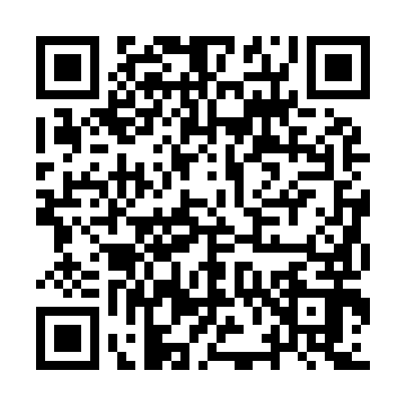 QR code for IV29920