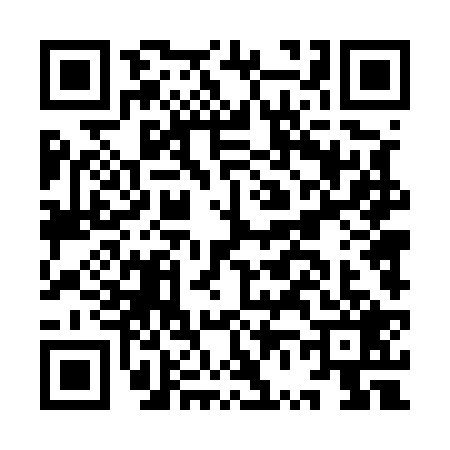 QR code for IV45294