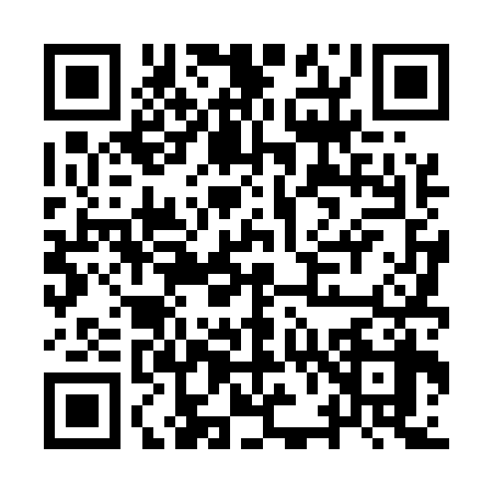 QR code for IV45383