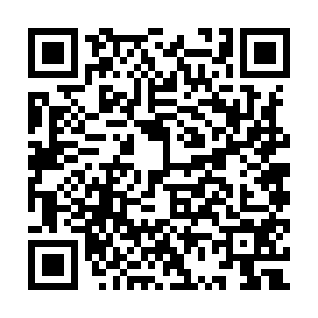 QR code for IV69545