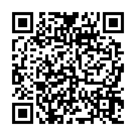 QR code for IV83160