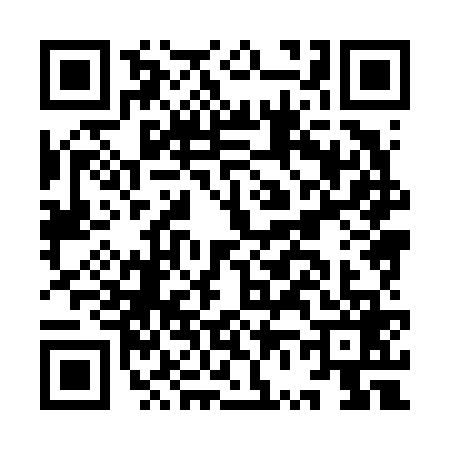 QR code for IV86696
