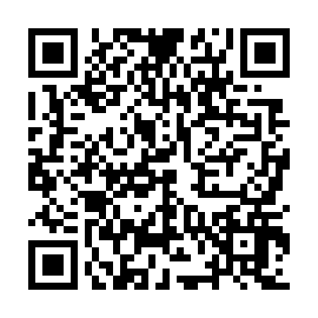 QR code for IV87165
