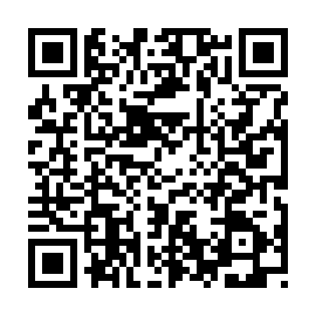 QR code for IV87254