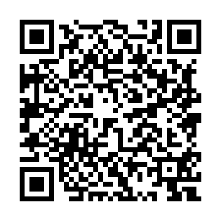 QR code for IV88101