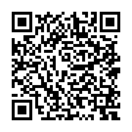QR code for IX95408