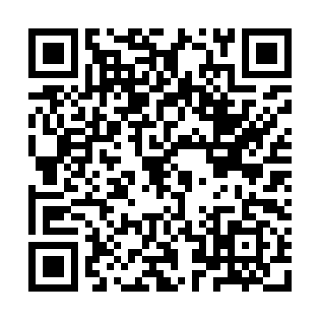 QR code for IZ29991