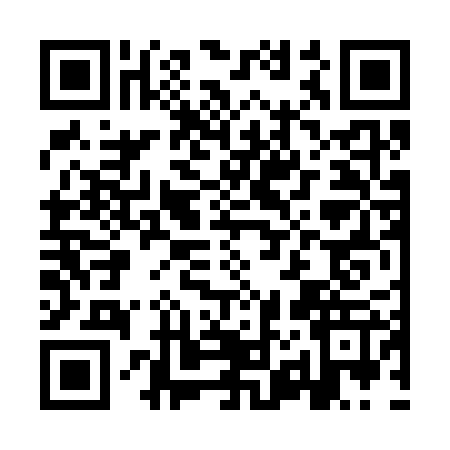 QR code for IZ63273