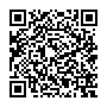 QR code for JM17295
