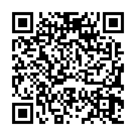 QR code for JP52289