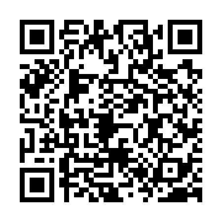 QR code for KR67393