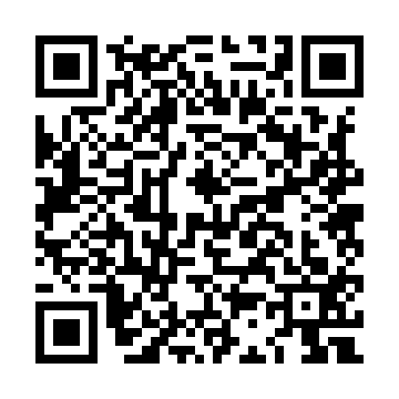 QR code for LC29131
