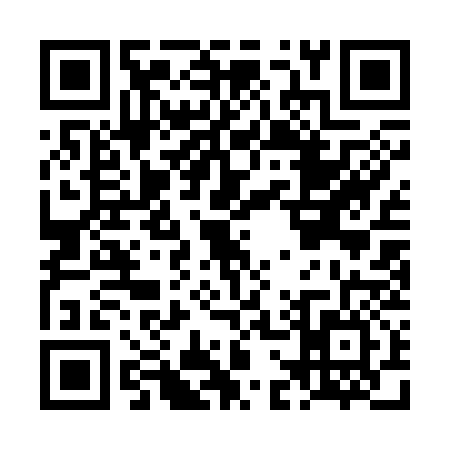 QR code for LG13363