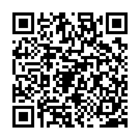 QR code for LG17656