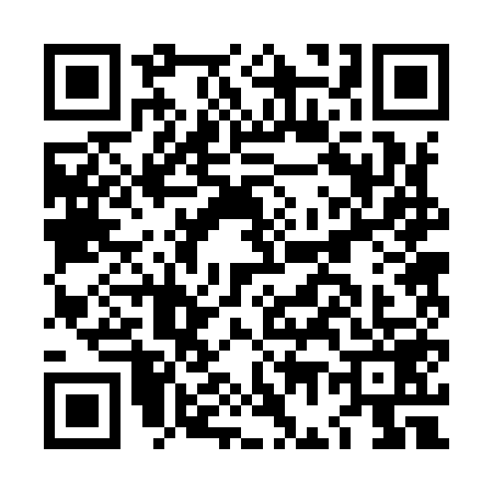 QR code for LG29597