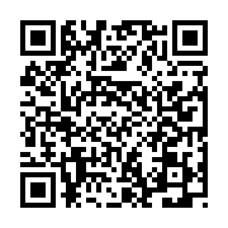 QR code for LG51291