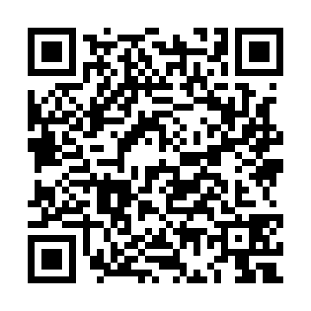 QR code for LG91385