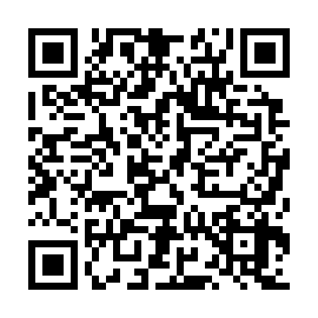 QR code for LI03385