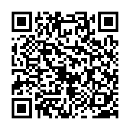 QR code for LI13298