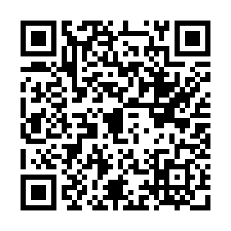 QR code for LI13388