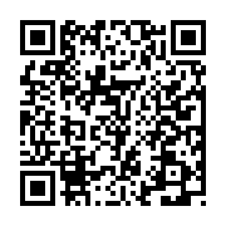 QR code for LI29919