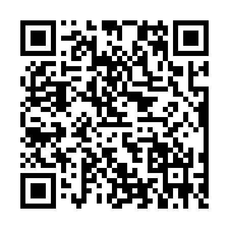 QR code for LI31307