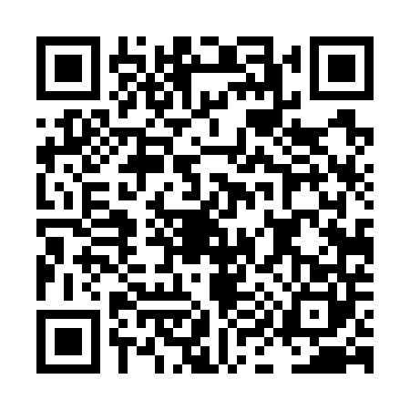 QR code for LI47403